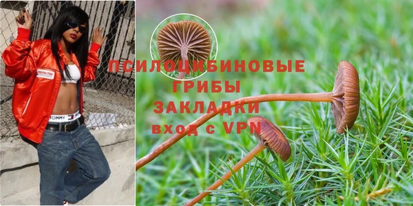 кокаин премиум Зеленодольск
