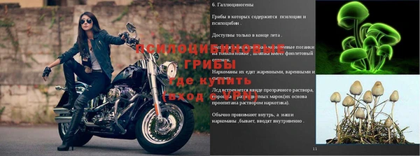 PSILOCYBIN Зеленокумск