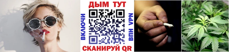 Купить где  Дудинка  Конопля White Widow 
